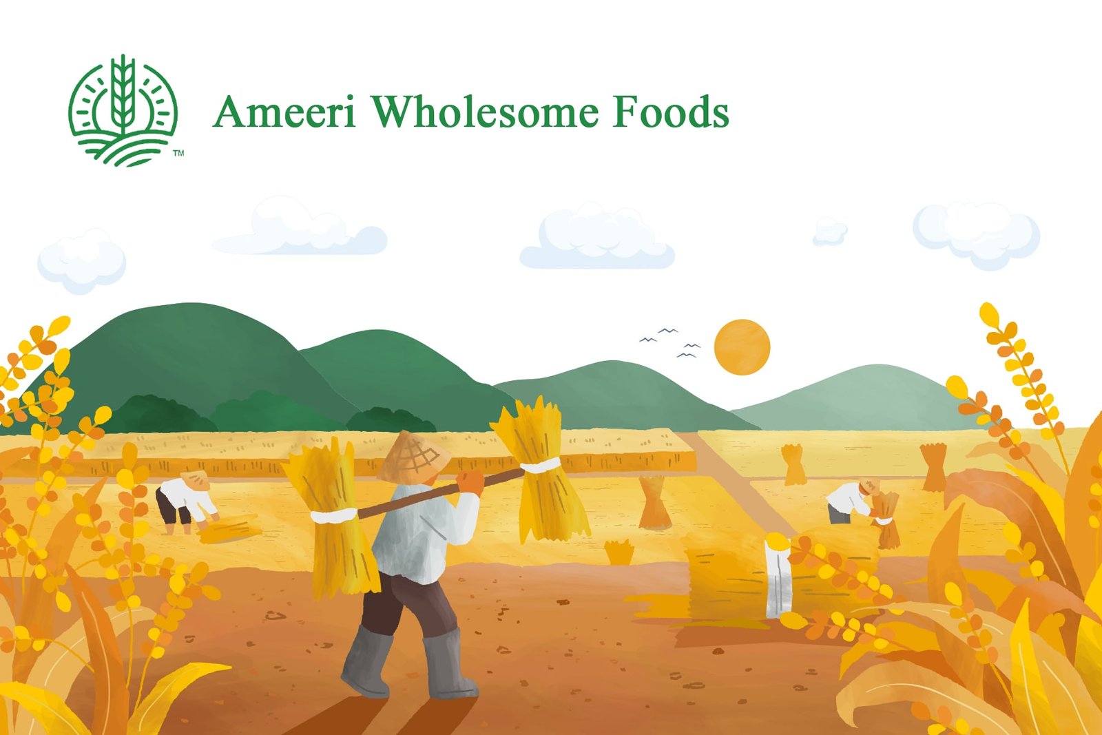 website image illustration-min