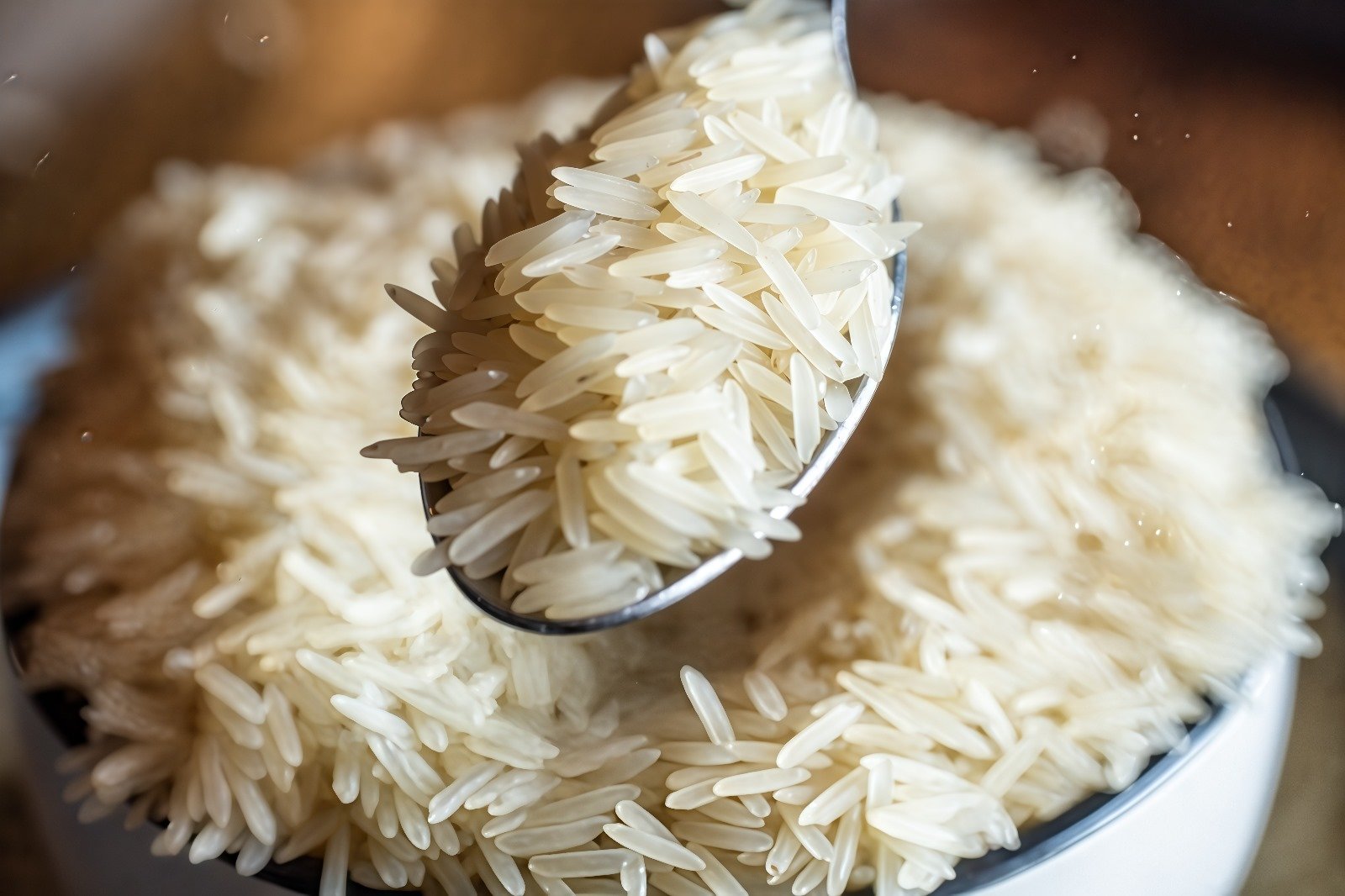 Ameeri Rice_photo (4)
